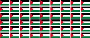 Mini Aufkleber Set - Pack glatt - 20x12mm - selbstklebender Sticker - Palestina - Flagge / Banner / Standarte fürs Auto, Büro, zu Hause und die Schule - 54 Stück