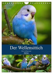 Der Wellensittich - Mein Lieblingsvogel (Wandkalender 2024 DIN A4 hoch), CALVENDO Monatskalender