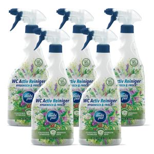 Ambi Pur WC Aktiv Reiniger Spray Wild Sage & Cedar 750ml (5er Pack)