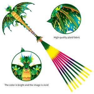 3D Grün Flugsaurierdrachen mit 100m Einleiner Flugdrachen 157*170cm Dinosaurier Spannweite Drachenfliegen Flugdrachen