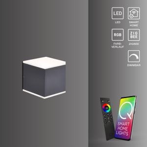 Paul Neuhaus LED Außenwandlampe Smart Home Q - AMIN  RGB+W Wandlampe dimmbar Fernbedienung Farbwechsel Alexa