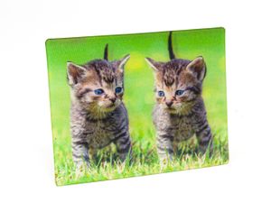 3 D Magnet Katzen, 9 x 7 cm, Tiere Katze Kätzchen, Kühlschrankmagnete Tier