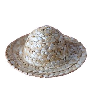 Tangoo Ersatzteil Stroh-Hut für Rabe KLEIN ca 9 cm D