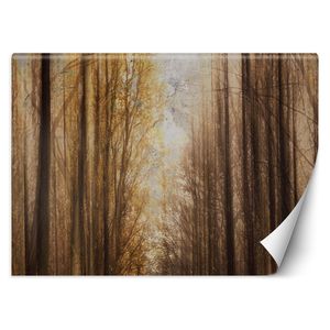 Fototapete Wald Vintage - Vliestapete abwaschbare Deko Wohnzimmer 150x105 cm