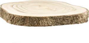Krążek z drzewa Paulownia Ø20-25cm naturalny dekoracyjny drewniany krążek