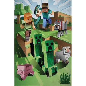 Minecraft Fleecedecke Kuscheldecke 100 x 150 CM