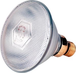 Sparlampe Philips 100W 240 V, klar