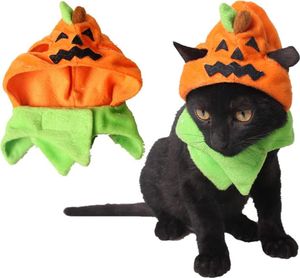 Haustier-Kürbis-Kopf-Abdeckung Haustier-Halloween-Kostüm-Katzen-Verzierung