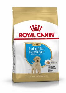 Royal Canin Labrador Retriever Welpe - Hundefutter 3kg