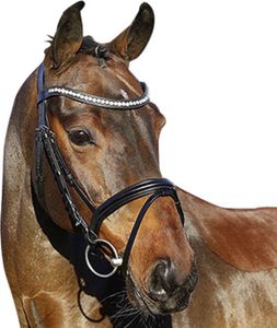 Trense La Rochelle engl. RH schwarz WB