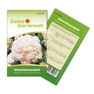Winterblumenkohl Walcheren Samen - Brassica oleracea botrytis - Winterblumenkohlsamen - Gemüsesamen - Saatgut für 80 Pflanzen