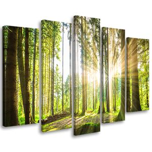 Feeby Leinwandbild 5-teilig Wald Bäume Natur 200x100 Wandbild auf Vlies Bilder Bild