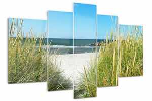Tulup Bild Acrylbild 5 Teile 170x100 cm Wandkunstdrucke - Küstendünen.