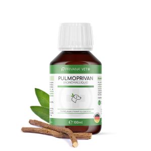 Pulmoprivan - natürliches Bronchial-Liquid aus Kräutern für Hunde - (100ml)