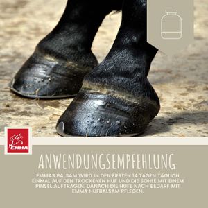 Pferdepflege Set - Mähnenspray & Glitzer Huffet für Pferde 2 teilig