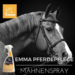 Mähnenspray Pferdepflege für Fell- Schweif-, und Mähne Premium 500 ml (22,80 EUR / l)