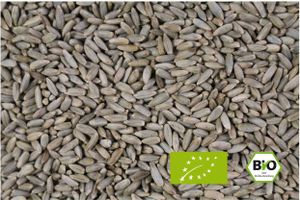 LanDixx Bioroggen 25 kg Landroggen Roggen kontrolliert biologischer Anbau