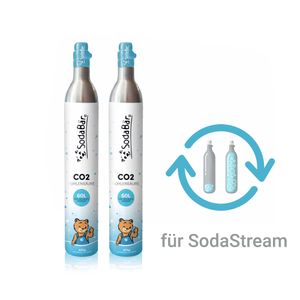 CO2-Zylinder Tausch-Box für SodaStream 2 x 425g (60 l)