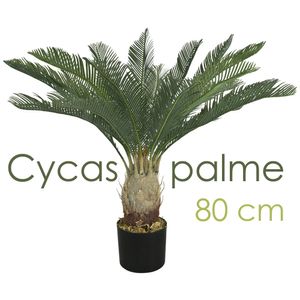 Künstliche Palme groß Kunstpalme Kunstpflanze Palme künstlich wie echt Plastikpflanze Auswahl Dekoration Deko Decovego, Auswahl Palme Pflanze:Palme Modell 9 (Cycaspalme 80 cm)