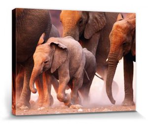 Elefanten Poster Leinwandbild Auf Keilrahmen - Elefantenherde, Namibia (60 x 80 cm)