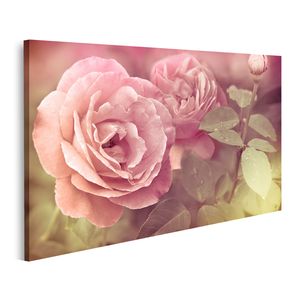 Bild Bilder auf Leinwand Abstract Romantische rosafarbene Rosen Blumen mit Wassertropfen Blütenhintergrund mit weichem selektiven Fokus Vi Wandbild Poster Leinwandbild QBAZ
