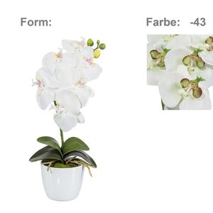 Orchidee Phalaenopsis Kunstpflanze 40 cm in grün-creme