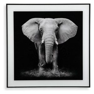 Obrázek slona (2 x 50 x 50 cm)