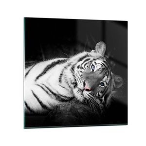 Bilder auf glas - Einteilig - Weiß Tiger Schwarz und Weiß - 40x40cm - Glasbilder - Wandbilder - Bilder - Wanddekoration aus Glas - Glas Bilder - Wandbild auf Glas - GAC40x40-4247