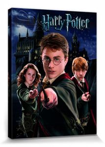 Harry Potter Poster Leinwandbild Auf Keilrahmen - Harry Ron Hermine (40 x 30 cm)