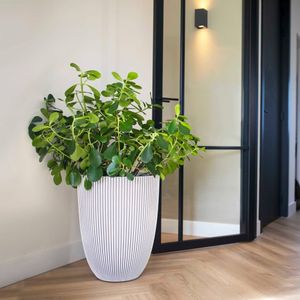 Capi Vase Groove Elegant 46x58 cm Elfenbein