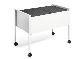 DURABLE Hängemappenwagen ECONOMY DUO 100 A4, 308210 grau