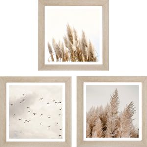 Bilder-Set 3-teilig - Braun - Creme - 23 x 23 cm - Pampasgras und Vögel