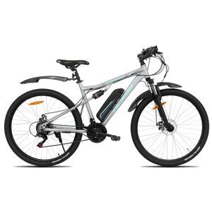 HILAND 29 Zoll E-Bike Mountainbike, 21-Gang Vollfederung Heckmotor 250 W, 36V/10.4Ah Lithium-Akku LED Display & Beleuchtungsset, Elektrofahrrad Damen und Herren, Grau