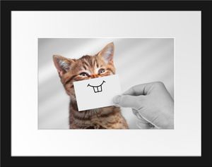 Lustige Katze mit Lächeln auf Papier B&W DetailBilderrahmen mit Galerie-Passepartout / Format: 38x30cm / gerahmt / hochwertige Leinwandbild Alternative