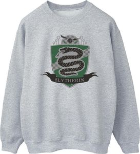 Harry Potter - "Slytherin" Sweatshirt für Herren BI28796 (4XL) (Grau)