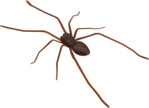Magnetische Spinnendekoration, gruselige realistische Riesenspinne, Halloween-Streich-Requisiten, Garagentor, Briefkasten, Schließfach, Kühlschrankmagnet, gefälschte Spinne