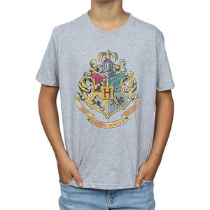 Harry Potter - T-Shirt für Jungen BI1259 (128) (Grau)