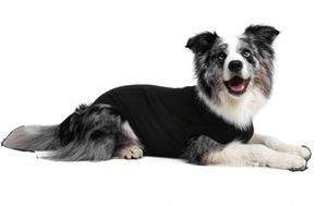 Recovery Suit Hund 49-57 cm Polyester schwarz