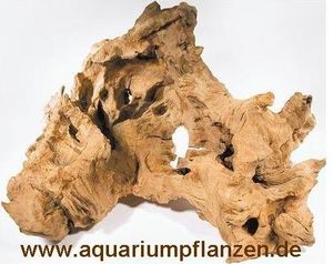 1 Mooreichenwurzel 20-30 cm Wurzel, Aquarium, Moor
