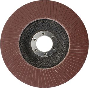 125 mm Fächerscheiben Lamellenscheiben Schleifscheiben 125x22,2 mm Körnung 80