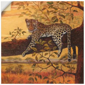 ARTland Wandbild, selbstklebend Ruhender Leopard Größe: 40x40 cm