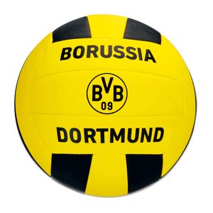 BVB Borussia Dortmund Volleyball