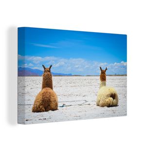 OneMillionCanvasses® - Leinwandbilder - 150x100 cm, Lama - Tiere - Sand, Wandbilder Kunstdruck Wanddekoration