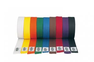 Kwon Gürtel alle Farben, Farbe:weiß, Größe:280cm