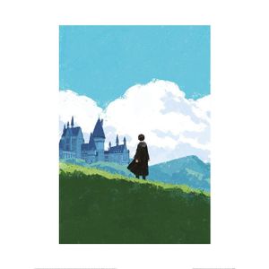 Harry Potter - s potlačou PM6159 (40 cm x 30 cm) (modrá/zelená)