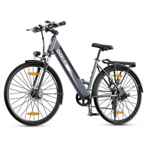 26'' E-Bike, Elektrofahrrad Trekkingrad e-City Fahrrad Qekud K26 mit 36V 12.5Ah Lithium Batterie, 250W Motor