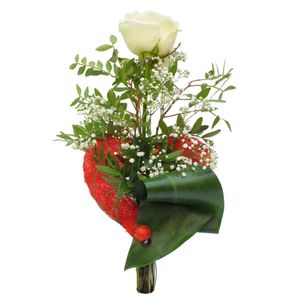 Blumenstrauß - langstielige weiße Rose (50 cm) in rotem Herz) - Blumenversand zum Wunschtermin