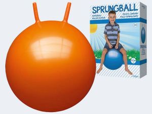 Sprungball 60cm sortiert