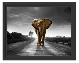 Elefant frontal auf Straße laufend B&W Detail im Schattenfugen Bilderrahmen / Format: 38x30 im Schattenfugen-Bilderrahmen / Kunstdruck auf hochwertigem Galeriekarton / hochwertige Leinwandbild Alternative