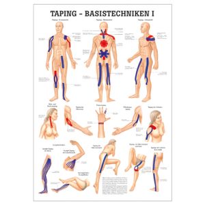 Taping Basistechniken I Mini-Poster Anatomie 34x24 cm medizinische Lehrmittel